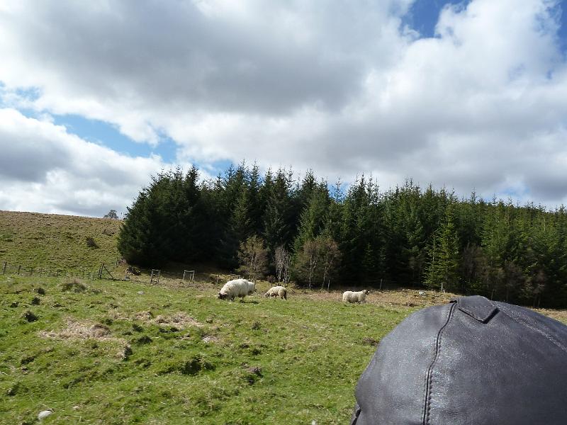 Aviemore-Fort William (59).JPG
